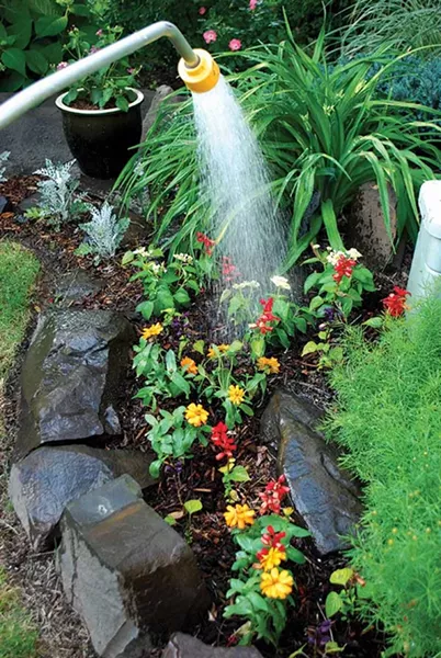 Newly planted things need extra vigilant watering attention. - LARRY DECKER