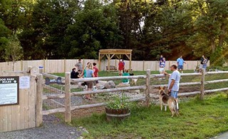 Top Five on Friday: Dog Parks of the Hudson Valley