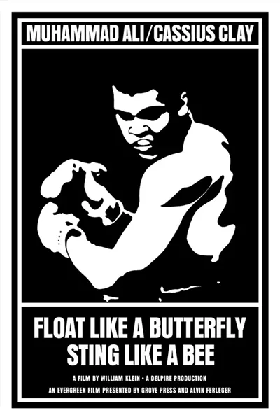 float_like_butterfly_1974.jpg