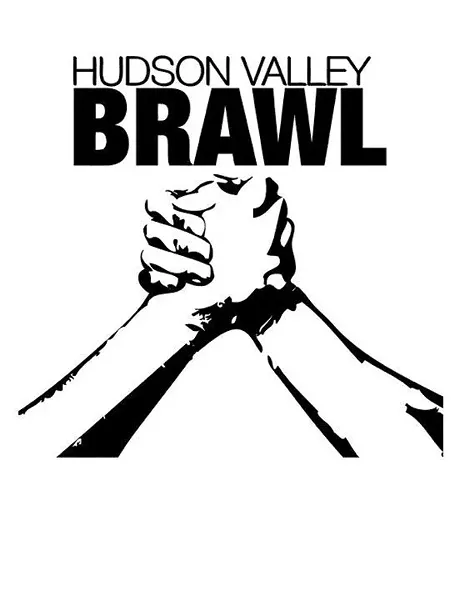 sl_brawl.jpg
