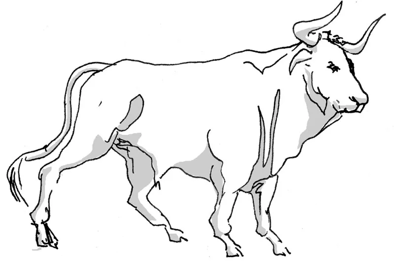 taurus.jpg