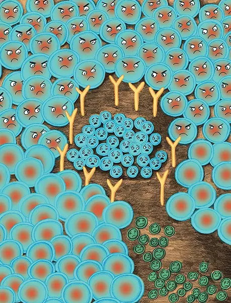 ILLUSTRATION BY ANNIE INTERNICOLA