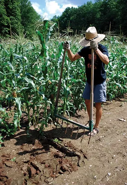The Hudson Valley Seed Library’s Ken Greene and Doug Muller love their broadfork, pictured here, but learned about its—and their—limits.