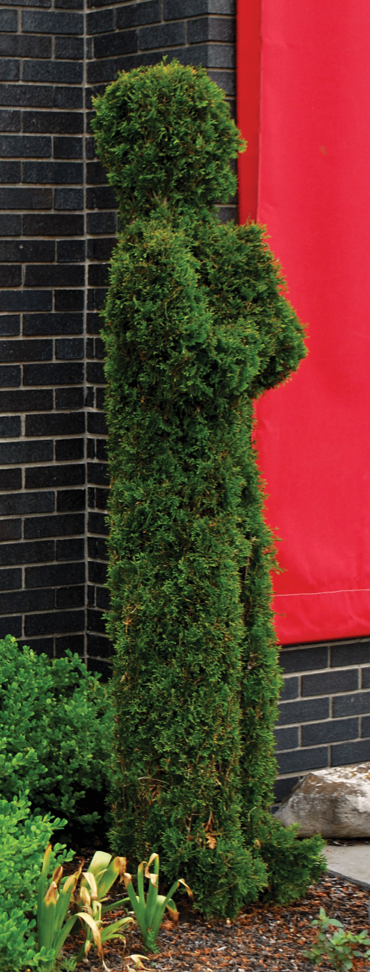 Topiary art by Keith Buesing.