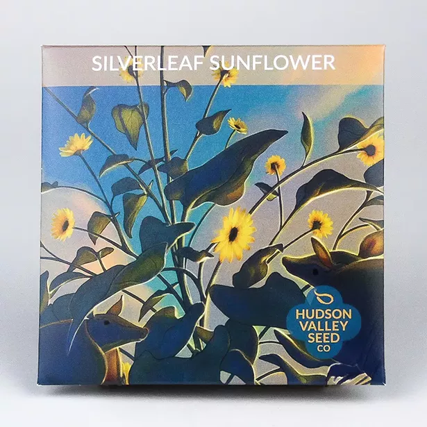 02_parting-shot_silverleaf_sunflower_1000x1000-gigapixel.jpg