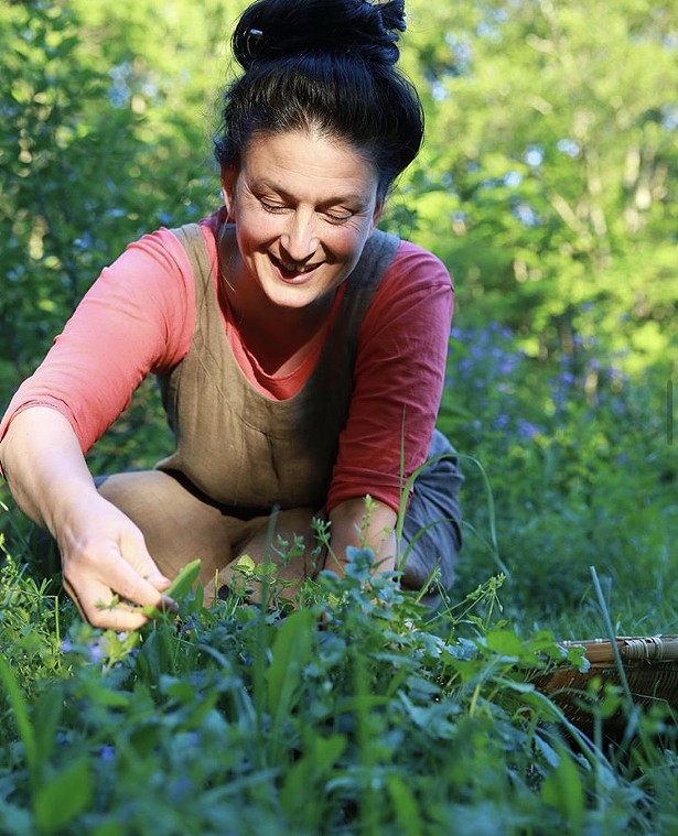 Dina Falconi, clinical herbalist and author, goes over some tips about foraging for common April wild edibles. - DINA FALCONI