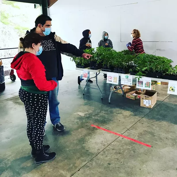 The Hudson Valley Children's Museum's waterfront farmer's market