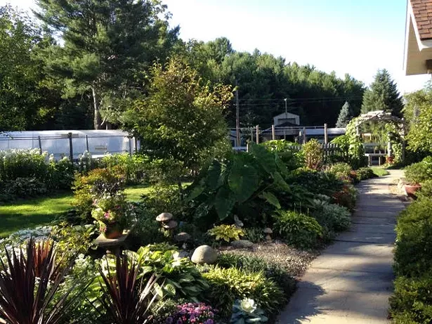 ALL IMAGES COURTESY KERNS NURSERY