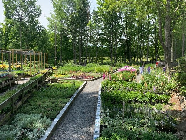 Plant Paradise: This Picturesque Nursery in Jewett is Worth a Trip