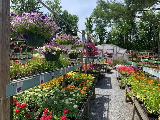 ALL IMAGES COURTESY KERNS NURSERY