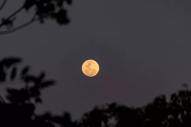 october_astrology_harvest_moon-4486104_1280.jpg