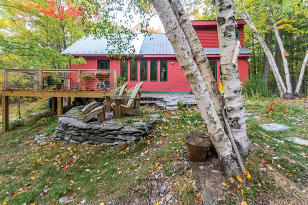 Gone to the Dogs: Two Writers Design Pup-Friendly Abode in the Woods