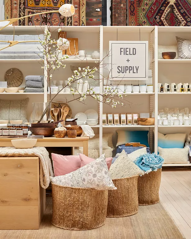 popup_field_supply_130_1_full_jpeg_r01_copy.jpg