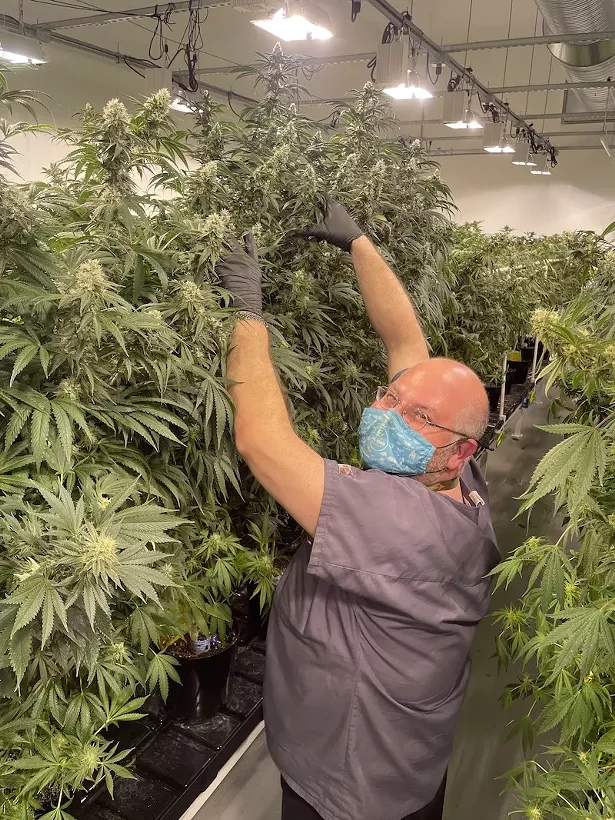 Greg “Chemdog” Krzanowski - IMAGES COURTESY OF CANNA PROVISIONS