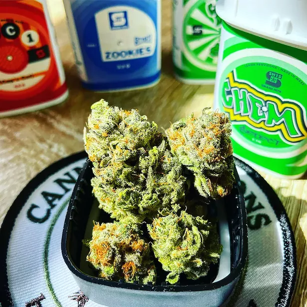 Smash Hits Chem Select flower