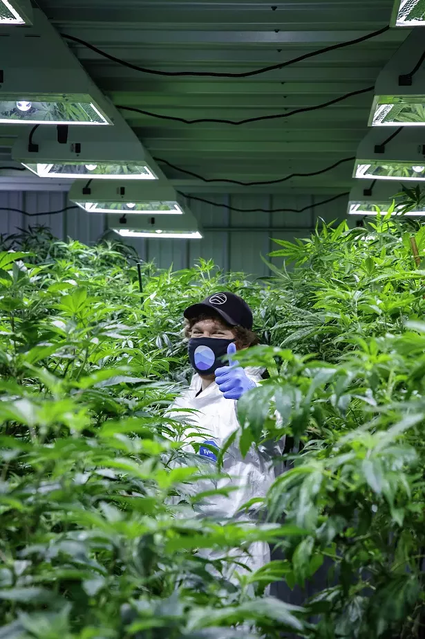 Pete Steimer, Director of Cultivation at The Pass - PHOTO BY GOOD BITES & GLASS PINTS™