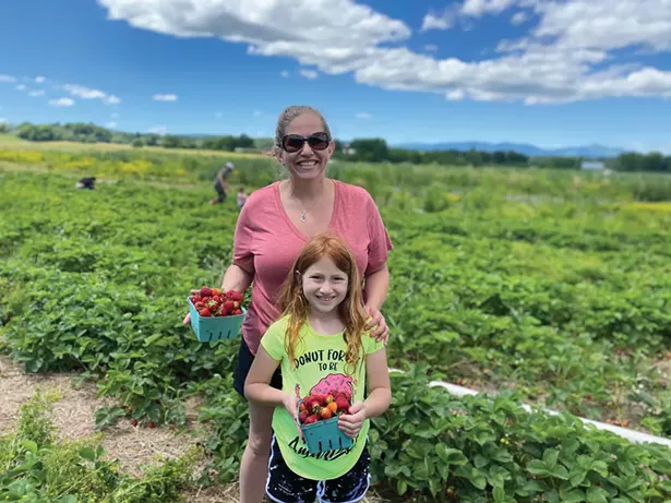 Strawberry picking at Kelder’s Farm in Kerhonkson.