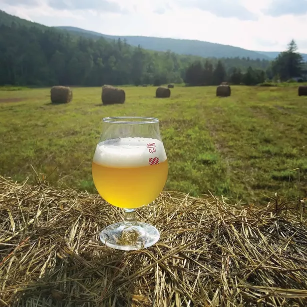 A glass of Leona Saison from West Kill Brewing.