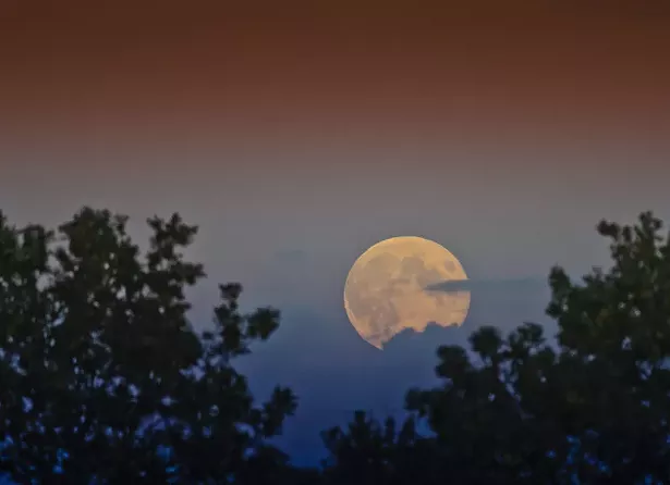 Harvest moon - PHOTO BY JON BUNTING