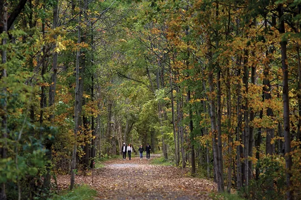 The section of the Wallkill Valley Rail Trail that runs through the village of New Paltz is used by 300,000 people annually. - DAVID MCINTYRE