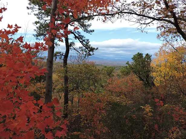 The view from Overcliff Carriage Road - CAROL NATOLI