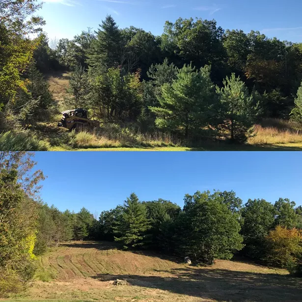 hudson_valley_forestry3.jpg