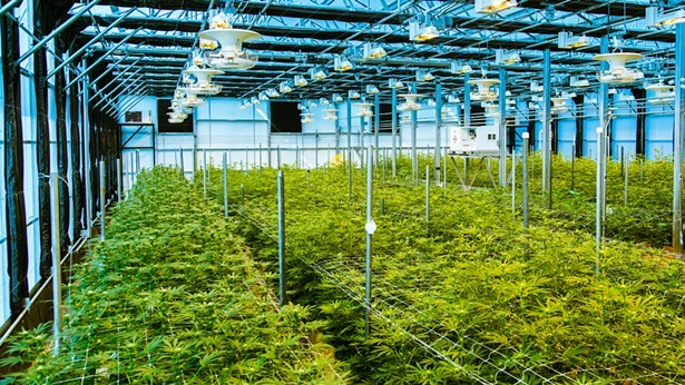 One of The Pass's two on-site cultivation facilities. - IMAGE COURTESY OF THE PASS