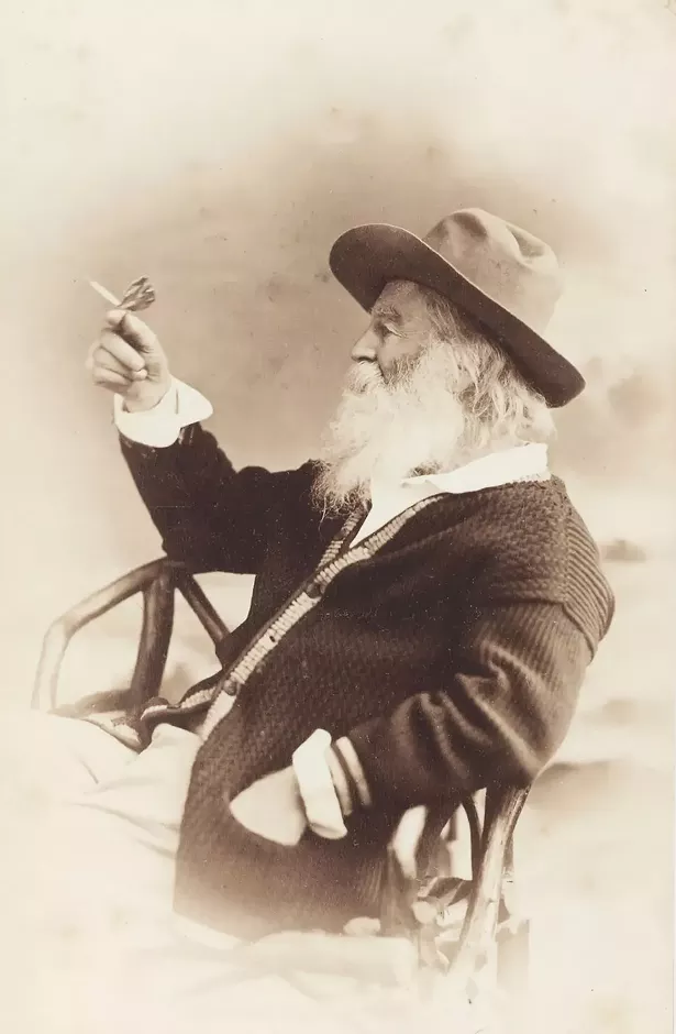 guide_--_walt_wilde_--_walt_with_butterfly-gigapixel-standard-scale-2_00x.jpg