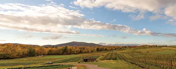 Fishkill Farms has been in the Morgenthau family since 1914 - FRANCO VOGT