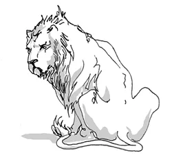 leo.jpg