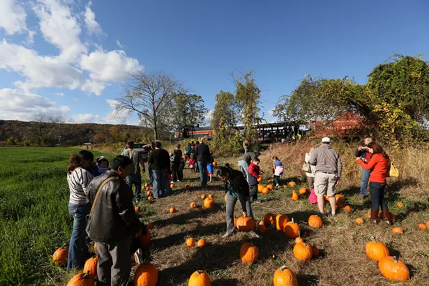 COURTESY OF CATSKILL MOUNTAIN RAILROAD