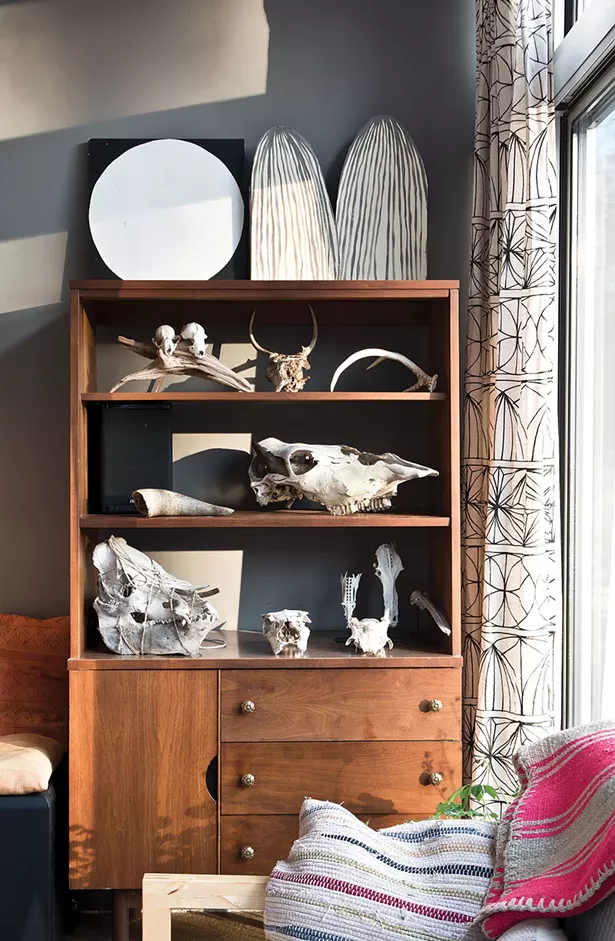 A collection of animal skulls and bones found in the surrounding woods is displayed in the living room corner. - DEBORAH DEGRAFFENREID
