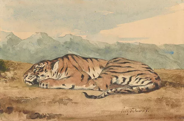 forecast_clark_delacroix_royal-tiger.jpg