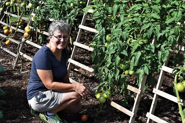 Horticulturist Susan MacAvery with the A-frame tomato trellis at the Locust Grove Heritage Vegetable Garden. - LARRY DECKER