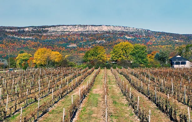 Locally Grown: Navigating Hudson Valley Cuisine