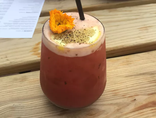 The Balsamic Fizz - BRIAN K. MAHONEY