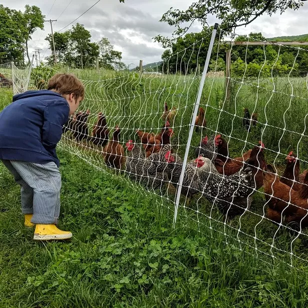 East Brook Community Farm