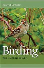 birding-the-hudson-valley-kathryn-j.-schneider.jpg