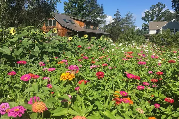 Hollengold Farm in Accord. - JESSE GOLDFARB.