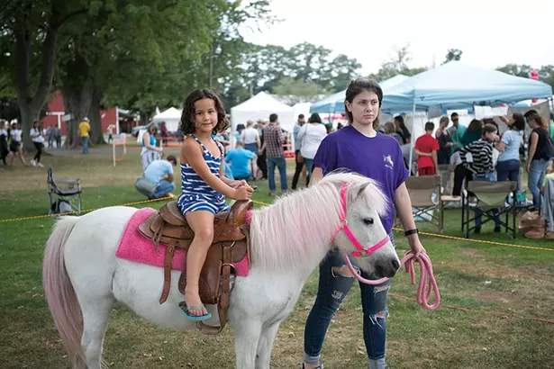 Pony rides at the Taste of New Paltz - CAYLENA CAHILL