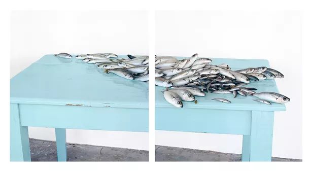 David Halliday, Fish on Blue, c.2013, archival pigment print