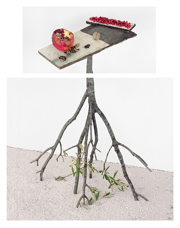 David Halliday, Pomegranates and Walnuts, 2017, archival pigment print