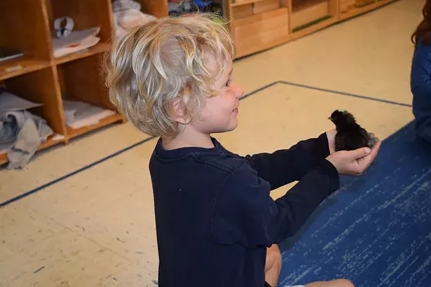 poughkeepsie_day_school_farm_learning4.jpg
