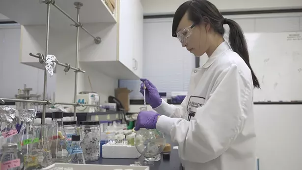 A still from the film 'From Farms to Incubators'.