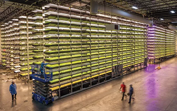 Newark’s AeroFarms, the world’s largest indoor vertical farm of its kind, will be participating in the East North East Green Tech Conference in Newburgh this month. - PHOTO: GEORGE STEINMETZ