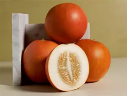 A portrait from Amy Goldman Fowler’s new book The Melon. - PHOTO: VICTOR SCHRAGER