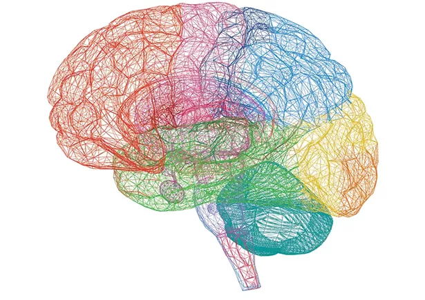 01_education_brain.jpg