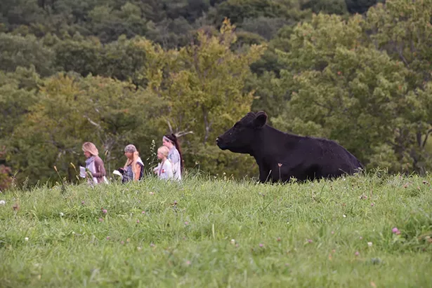 Collaborative Concepts, an outdoor sculpture exhibit, returns to the cow pastures of Saunders Farm for the 14th year.