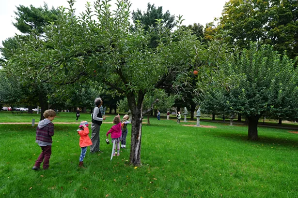 PHOTOS COURTESY OF BOSCOBEL HOUSE AND GARDENS