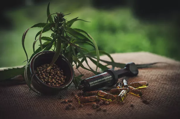 cbd-4474928_1920.jpg